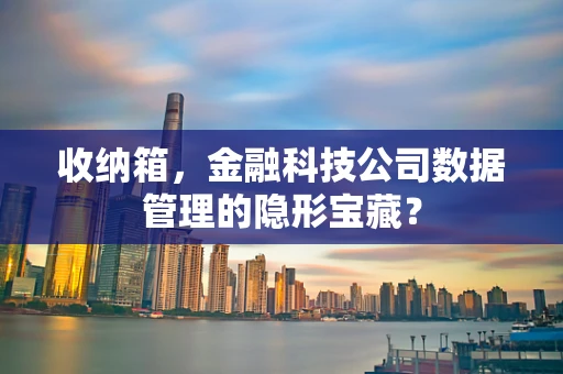 收纳箱，金融科技公司数据管理的隐形宝藏？