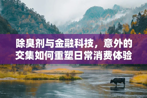 除臭剂与金融科技，意外的交集如何重塑日常消费体验？