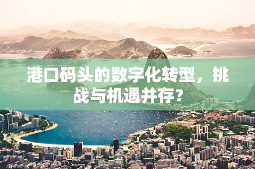 港口码头的数字化转型，挑战与机遇并存？