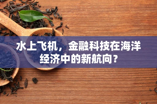 水上飞机，金融科技在海洋经济中的新航向？