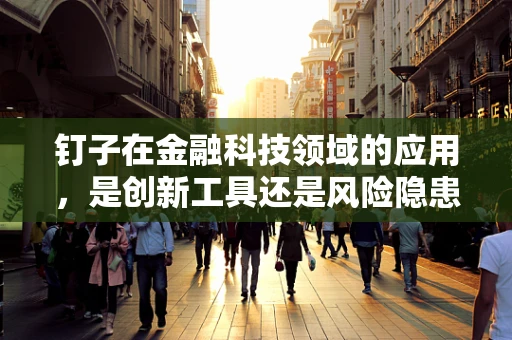 钉子在金融科技领域的应用，是创新工具还是风险隐患？