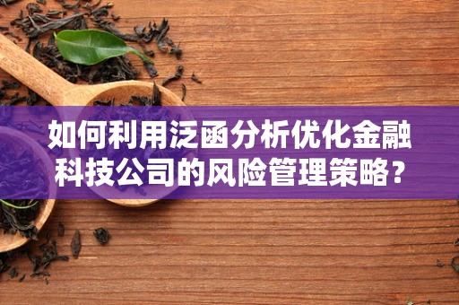 如何利用泛函分析优化金融科技公司的风险管理策略？